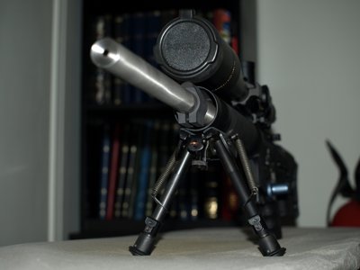 lepigeon_1328491619_ar15_1.jpg